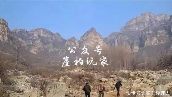 崖壁上的崖|崖柏为什么真贵?看完你就知道了!