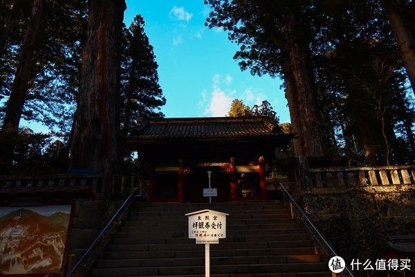 浅草|【玩不丧志】 篇七十四：被张大妈送去日本旅行，是什么体验？