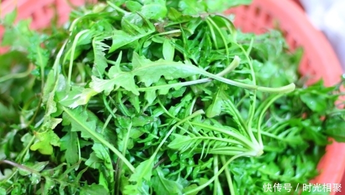 春卷|炸春卷想要好吃,馅料最重要,用它做馅立马遭疯抢