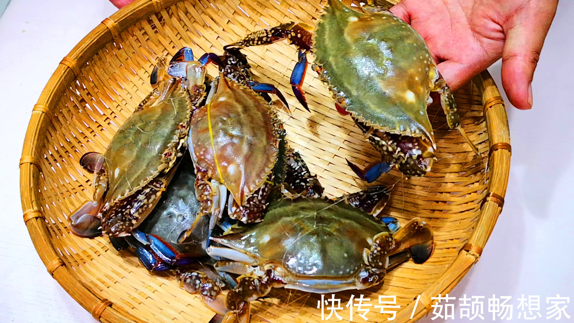 蒸螃蟹,冷水还是热水上锅多数人做错,难怪蟹黄外流,蟹腿一锅