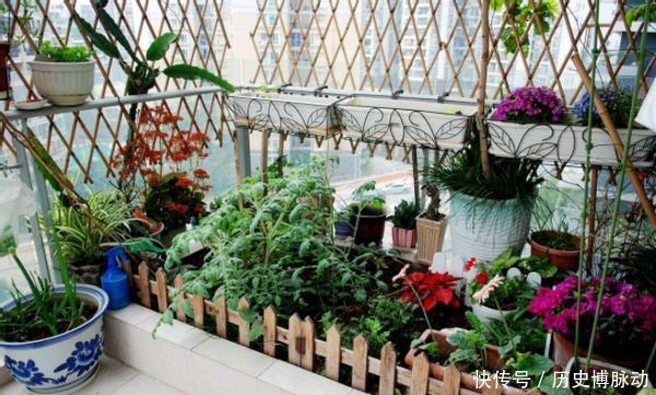  预警：家里养花，将这3样“废品”扔掉就是在扔钱