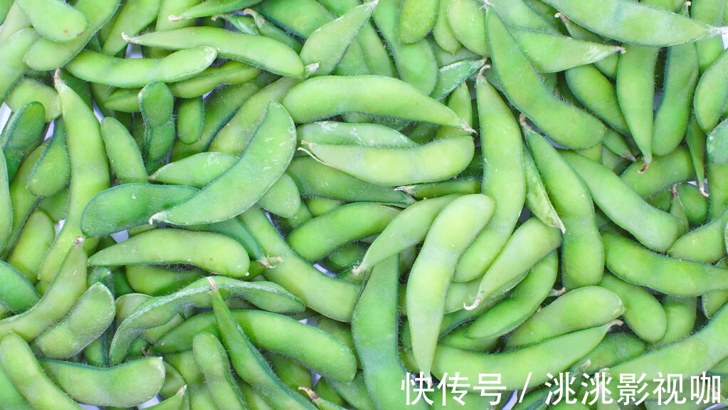 小技巧|煮毛豆，别直接加水煮，掌握4个小技巧，个个入味快，翠绿不发黄