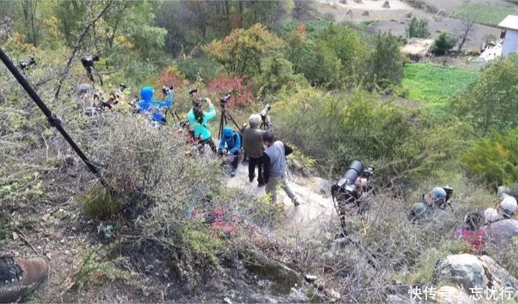 说走就走|川西行,无法复制的一场说走就走的旅行