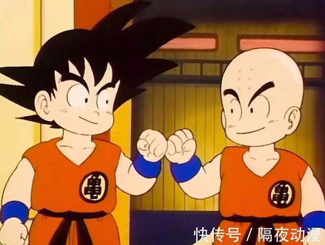 龙珠|22年,《海贼王》动画播出了1000集,尾田也从菜鸟走上日漫神坛