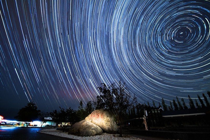 宁夏文旅厅|宁夏文旅IP新发展 ：“星星的故乡”增添“紫色”浪漫