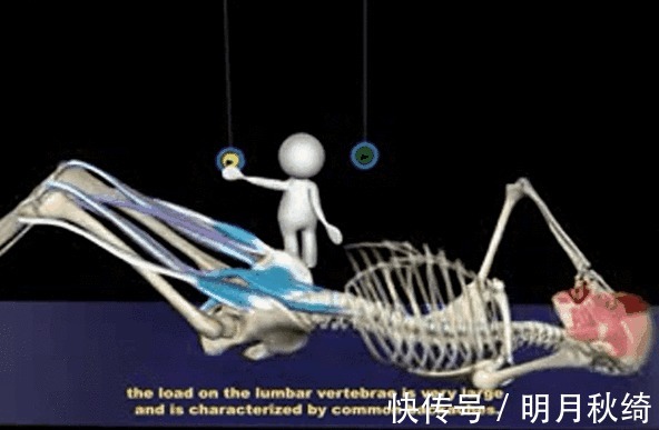 髂腰肌|辛苦地练腹肌却没有效果你要知道7大误区,才能让虐腹事半功倍