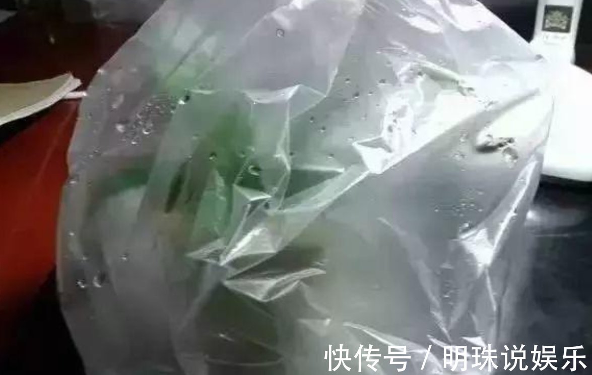 花花|被当成垃圾的塑料袋，其实是个“宝”，用来养花效果好