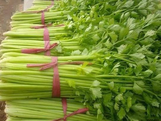 养生|想长寿先养生,3种蔬菜每天吃点,美容养颜,滋补身体