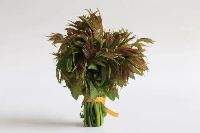 中年|告诫：五种野菜，请停止食用！春来野菜香，记住“3不吃，4不挖”