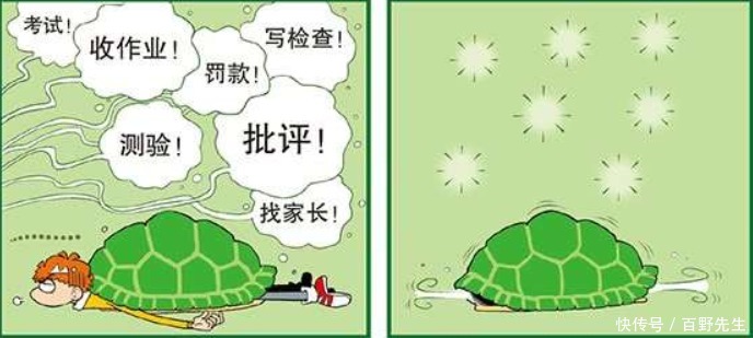 每日一笑：阿衰的龟壳很好地保护了他，可怎么看都是失败者的摇篮