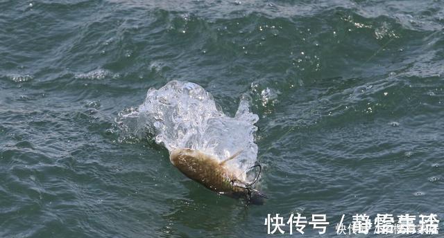 钓友们|钓鱼不用饵，空钩就能钓上几十斤，钓友们说这算不算钓鱼？