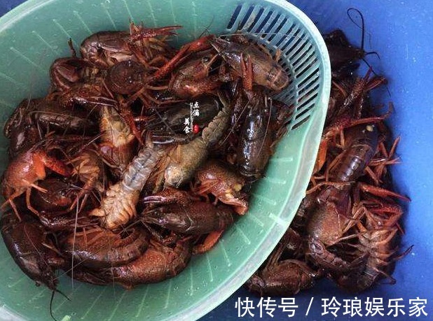 养花|还买肥料干什么,这种“废物”利用起来,无需花钱,养花效果更好