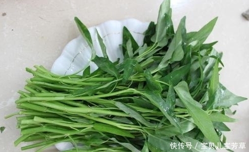 疮疖肿毒|夏天常吃它们,可活血祛瘀,降脂减肥,还健胃明目,别再错过了