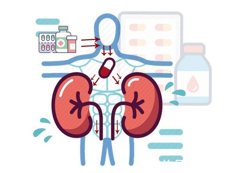 补肾强肾|肾不好百病生?提醒:日常多吃这4种食物,补肾强肾、增强免疫力