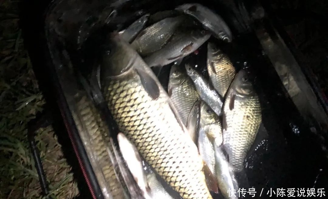 钓鱼和不钓鱼有哪些区别?你可能没发现,钓鱼人有6个特征