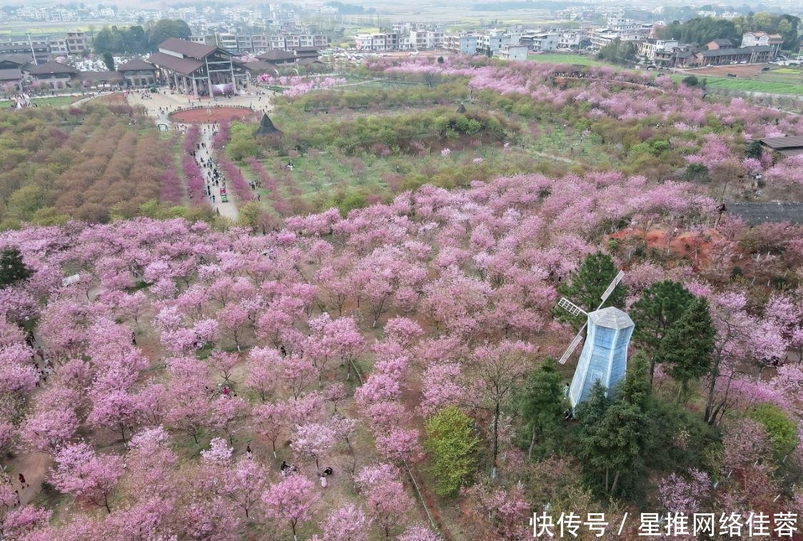 投资13亿，湖南常宁精心打造的的绝美花海惊艳亮相，就等你来！