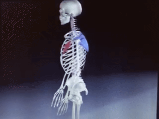 治疗|最容易忽视的颈肩痛，是颈椎病？4种方法鉴别、9种治疗措施纠正