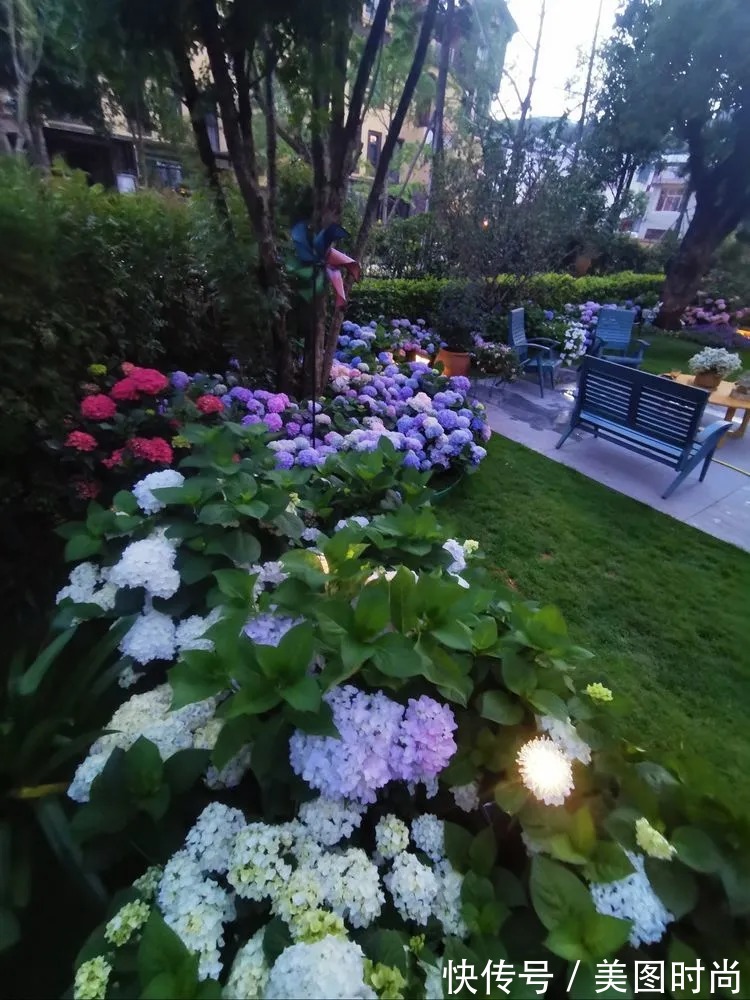 下午茶|一楼430㎡大院子，用1年半建成花园，网友：你这是建了个公园吧？