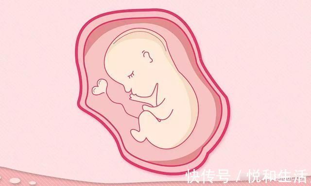 备孕|备孕超过一年没有怀孕,需要做哪些检查?