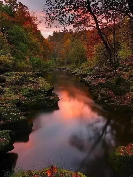  人间|如画的人间美景