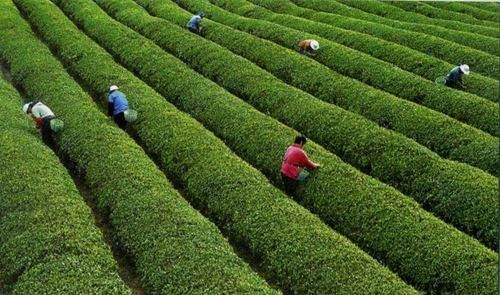  访爱情圣地 探天工之城 感商帮文化 观十里红妆|精品自驾路书 | 精品