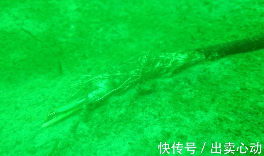 电缆铠装剥离新技术大揭秘！江苏亨通精工如何提升剥离效率？
