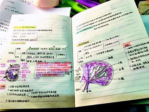 看了各科学霸的笔记后,才知自家孩子与学霸的差距究竟有多大!