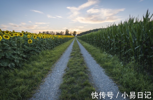 事业|今年冬季好事多磨，有四方贵人庇护，越来越有钱，笑口常开的生肖