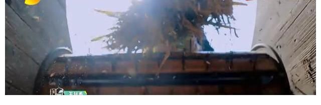 乡村振兴：汪涵、沈梦辰、杨迪的云上的小店，第一期都推荐了什么