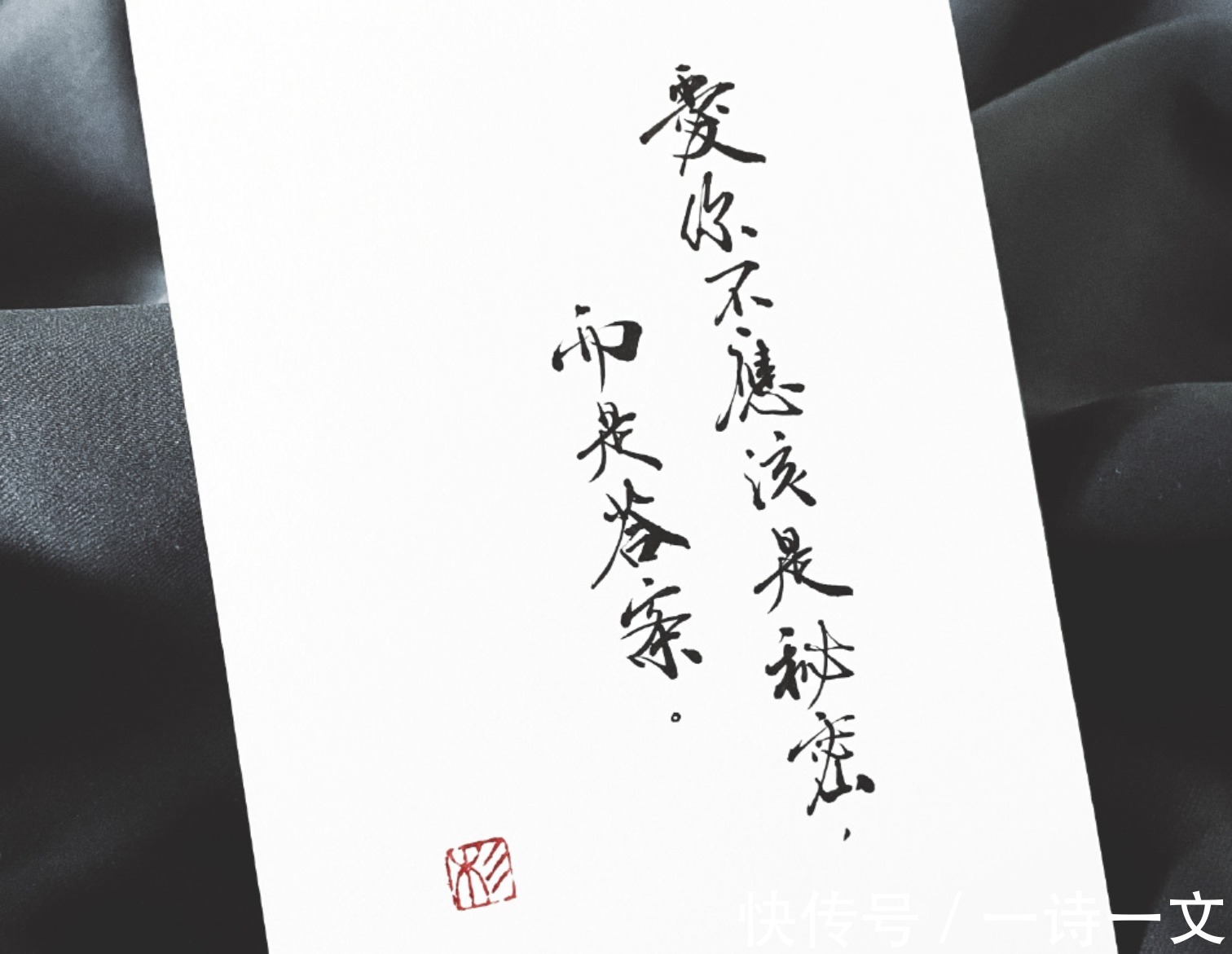 山百合&我是奔你而来,爱意自然汹涌