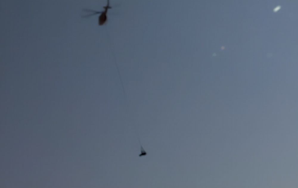 |潜艇里杀蟑螂、人类猫语十级，今年的搞笑诺贝尔奖来了