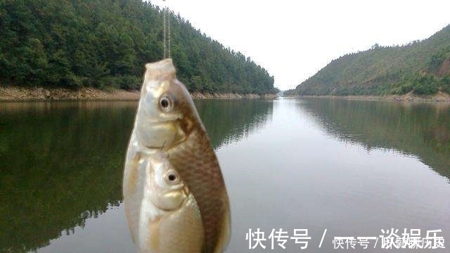浮漂|长见识了!连续“跑鱼”我只用这方法应对,立马开启狂拉模式