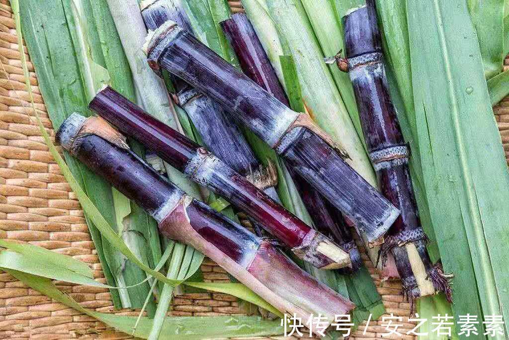 民医院|不管你有多饿,都不要空腹吃这些食物!