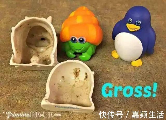 消毒|好可怕!宝宝天天吃的牙胶和奶嘴,竟然比抹布还脏!