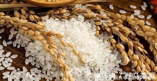 新米还是陈米，教你1招，再也不怕挑错，味道好营养高，不浪费钱