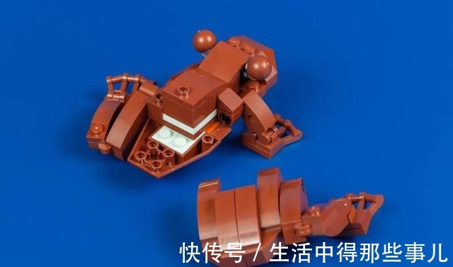 羽毛|乐高哈利波特76391霍格沃茨经典藏品开箱评测!