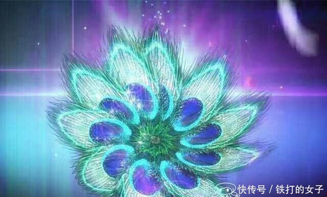 精灵梦叶罗丽里罕见的4朵魔法花，冰莲花最惊艳，最后一朵是谁的