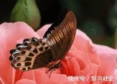 人心!良言20句,见证人心,看透人性看一次胜读十年书