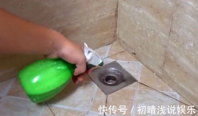 卫生间潮湿，会有很多小飞虫，大家有什么妙招可以解决？