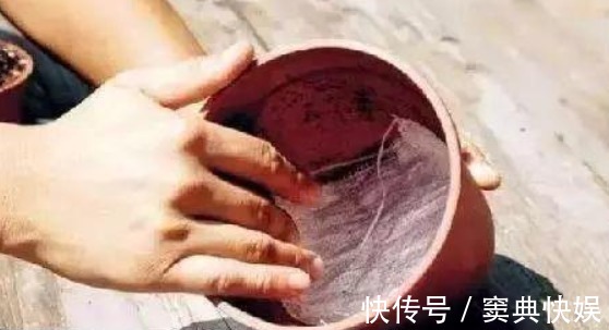 养花就用几种“神器”，花盆不积水，植物涨势好不烂根