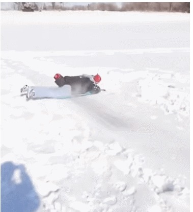 带娃|这届父母带娃能有多“坑”!能活着已经不容易了