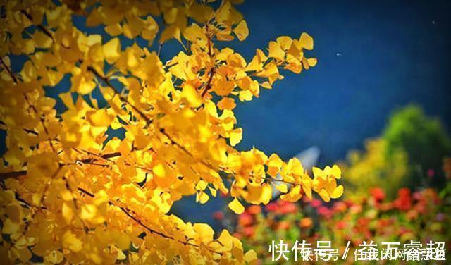 七律&和晓东社长七律7首,催人节序太匆匆,一夜萧萧万树空