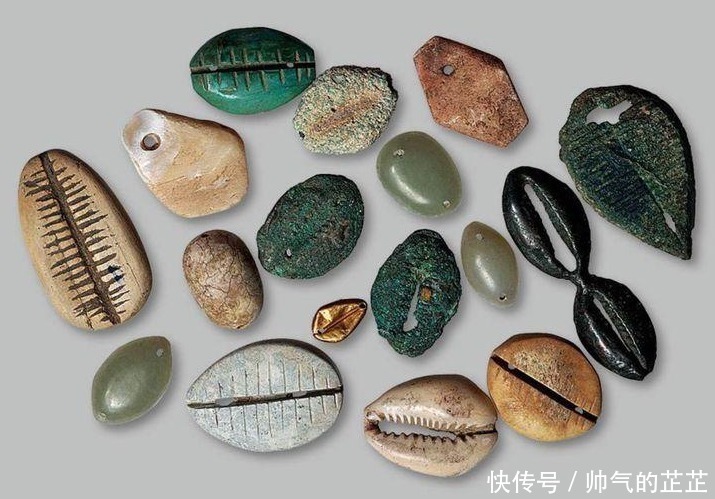 货币|古代贝壳当货币,为什么穷人不去多捡点,让自己变得富有