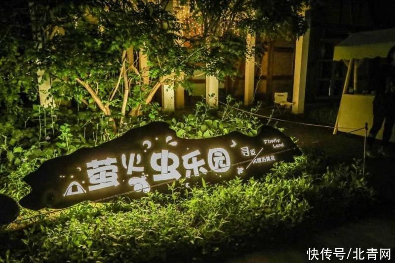 打卡|世界花卉大观园首届沉浸式魔幻夜游节成为夜生活打卡地