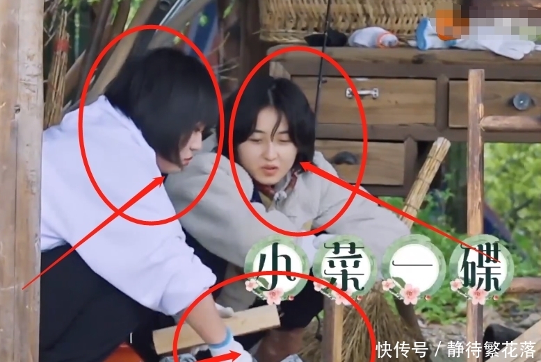 李雪琴 《向往》下期看点十足,李雪琴生猛抓鸡干活利索,李诞却累到虚脱