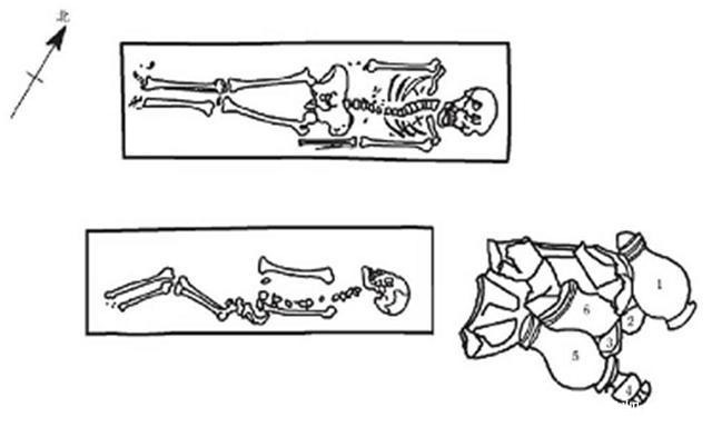 下部夹角|京津地区发现屈肢葬墓,墓主姿势多样,专家:和尊卑有关