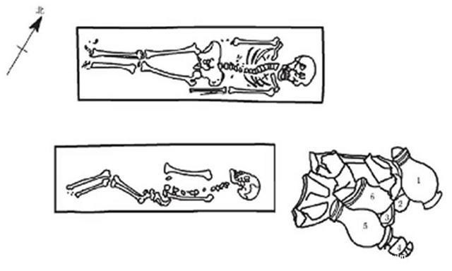  下部夹角|京津地区发现屈肢葬墓，墓主姿势多样，专家：和尊卑有关