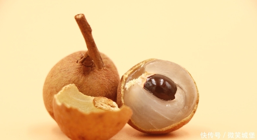 中藥古今研究:龍眼肉(桂圓)