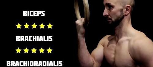 肱二头肌|关于正手vs反手引体向上，该怎么选择的问题，都有哪些肌肉参与？