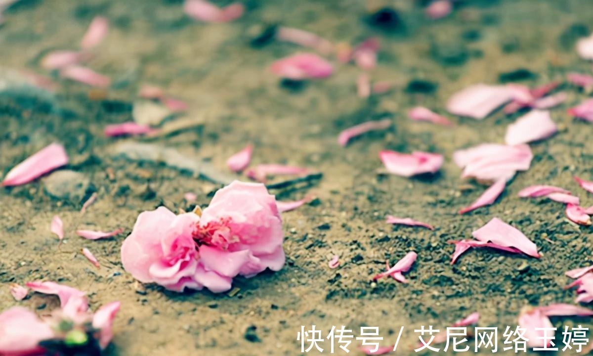 情诗!《夜雨寄北》:李商隐写下的绝美情诗,千年之后却被人骂抄袭